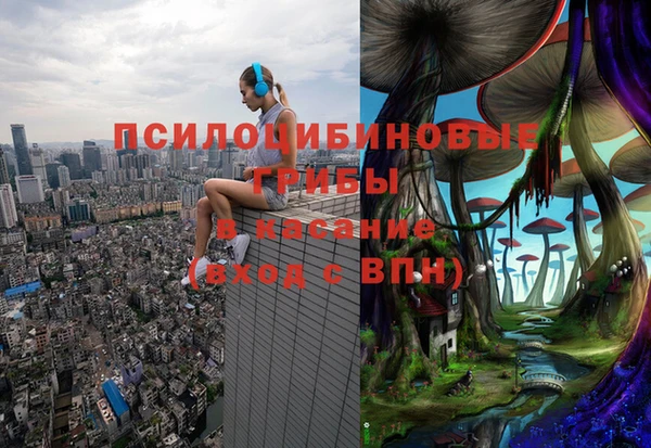 мдпв Покровск