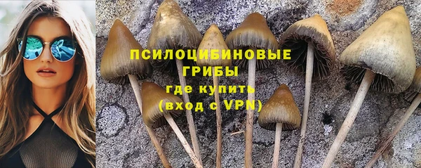 бошки Покров