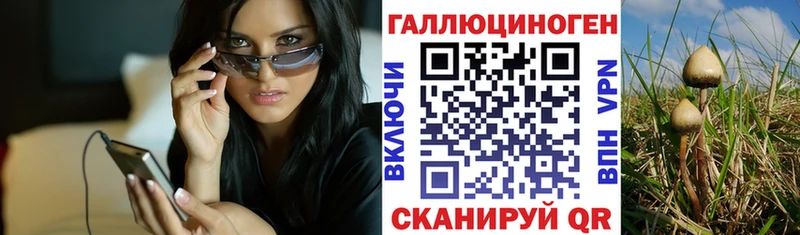 Галлюциногенные грибы Psilocybe  Ужур 